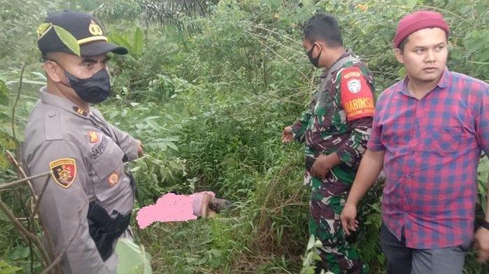 Antar Penumpang Langganan dari Medan ke Aceh Utara, Wanita Muda Sopir Taksi Online Tewas Dibunuh
