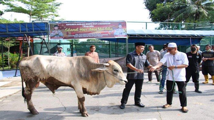 Momen Idul Adha, Putra Siregar Sumbang Satu Ekor Sapi di Polresta Barelang Batam