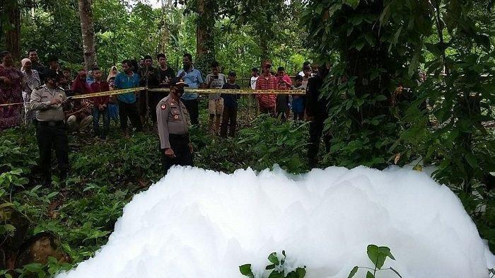 Warga Sijunjung Sumbar Geger Kemunculan Tumpukan Buih Putih di Kebun, Kandungannya Masih Diteliti