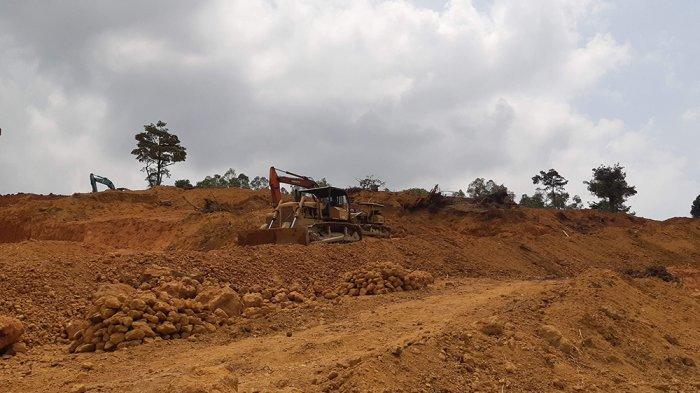 Pohon di Area Hutan Lindung di Batam Ini Dibabat Habis, Pekerja Ngaku Tak Tahu Berapa Luasnya
