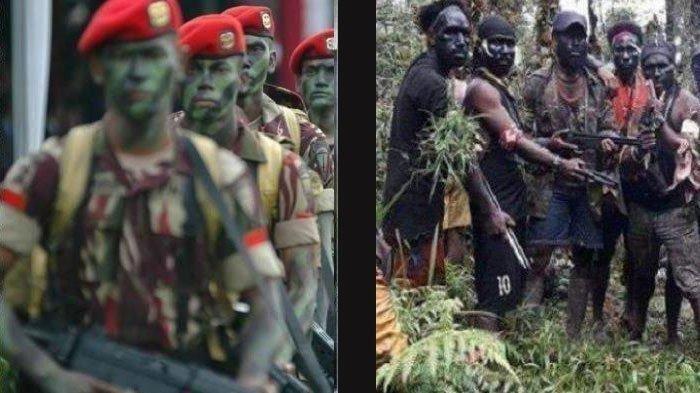 Satgas Yonif 715/Mtl Taklukan 3 Anggota KKB Papua hingga Menyerahkan Diri