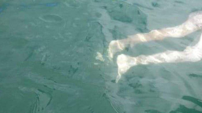 INI Dugaan Sementara Identitas Mayat MR X yang Ditemukan di Jembatan Barelang Batam