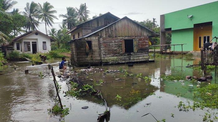 RUMAH Warga Kampung Suak Rasau Lingga Digenangi Banjir Rob dan Sampah