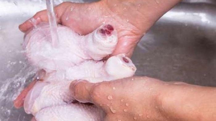 Ternyata Keliru Kebiasaan Mencuci Daging Ayam Mentah dan Telur Sebelum Dimasak, Ini yang Benar
