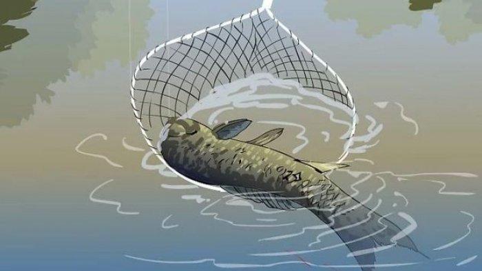 Tahukah Kamu Jika Mimpi Berkaitan Ikan Pertanda Baik, Tapi Waspadalah Jik Mimpi yang Satu Ini