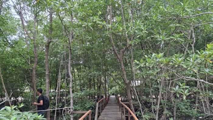 Kampung Tua Bakau Serip, Nasib Si Sabuk Hijau di Ujung Nongsa yang Sunyi