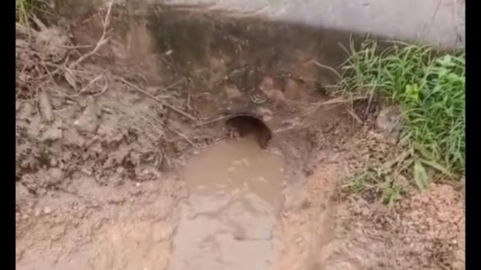 SALURAN AIR  - Saluran pembuangan air dari jalan raya ke saluran drainase di Bawah JPO putri tujuh Batuaji. Kondisinya kecil membiat air bertahan di jalan raya, Minggu (31/5/2026).