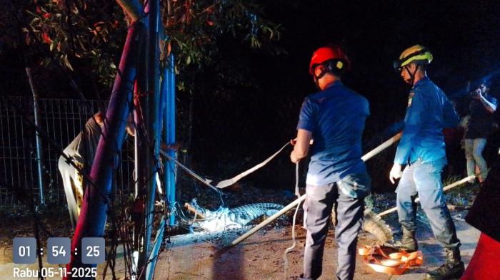 Daftar 7 Berita Populer Pilihan Hari Ini, Viral Buaya Naik ke Darat di Waduk Duriangkang