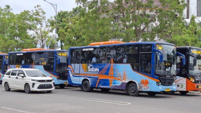 Gul Tucci bilan porno