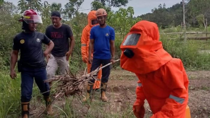 Damkar Lingga Pakai Seragam Khusus Musnahkan Dua Sarang Tawon Vespa di Bukit Langkap