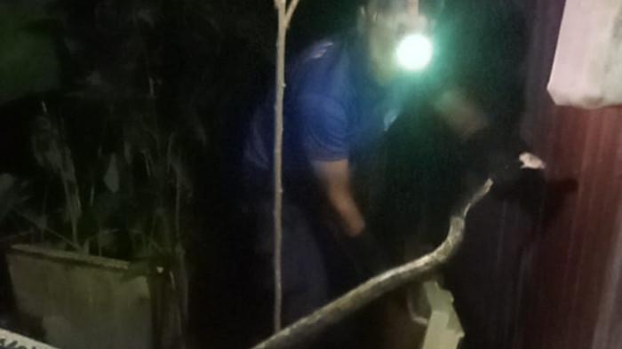 Petugas Damkar Lingga Evakuasi Ular Piton Dua Meter dari Kandang Ayam Warga Batu Kacang