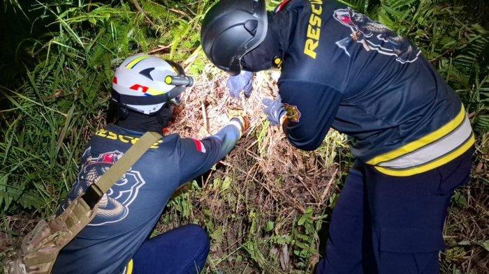 Tawon Vespa di Bintan Sengat Pasutri Lansia Sampai Sesak Napas, Damkar Turun Tangan