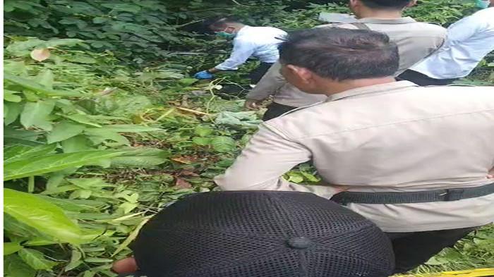 Pegawai Imigrasi Tarempa di Anambas Ditemukan Tak Bernyawa, Retno Curiga saat Lihat Kaki Dalam Semak