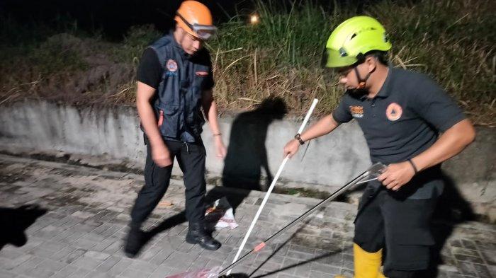 Ular Piton Empat Meter Dalam Kloset Buat Geger Warga Coastal Karimun Kepri