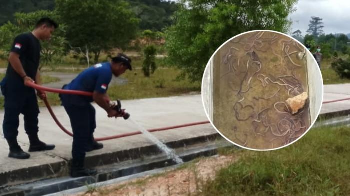 PEMBERSIHAN - Damkar Lingga unit Dabo saat membersihkan saluran air dipenuhi cacing pita di Bukit Tumang Kelurahan Raya, Kecamatan Singkep Barat, Kabupaten Lingga, Provinsi Kepri, Selasa (7/10/2025).