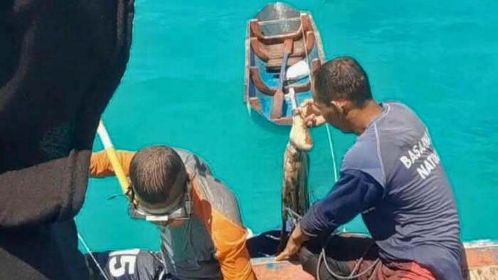 Nelayan Natuna Tersenyum saat Musim Duyek, Harga Jual Gurita Naik Fantastis