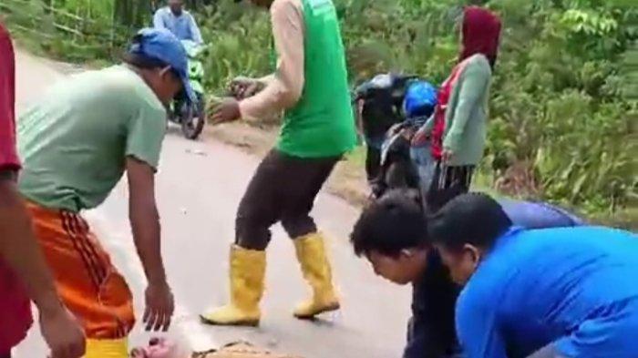 Kecelakaan di Anambas Kepri,  Kepala Puskesmas Siantan Siantan Luka Serius Diduga Gegara Anjing Liar
