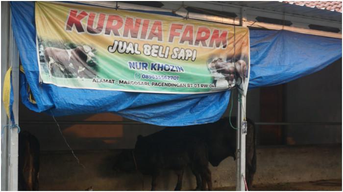 Kurnia Farm milik Nur Khozin