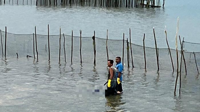 PENEMUAN MAYAT DI BATAM - Penemuan mayat di kelong milik warga kawasan Piayu Laut, Sei Beduk, Kota Batam, Kamis (10/9/2025). Tribun Batam merangkum sejumlah fakta terkait penemuan mayat wanita di Batam itu.
