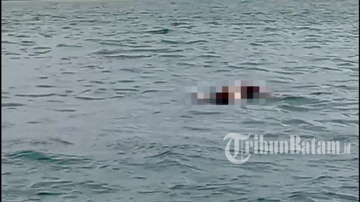 Breaking News, Penemuan Mayat Mengapung di Perairan Pulau Lalang Lingga, Gegerkan Warga
