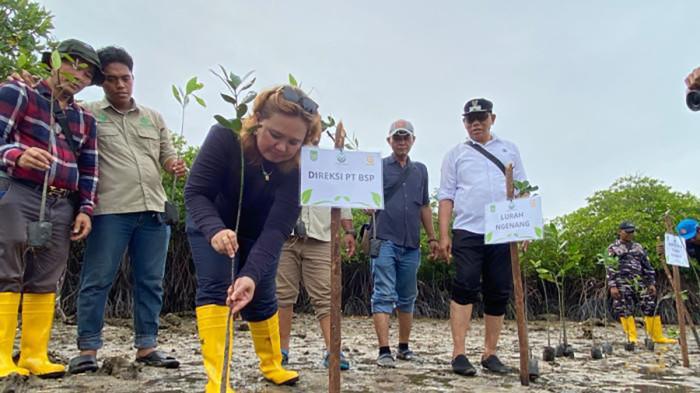 Panbil Group Tanam 5.000 Pohon Mangrove di Pesisir Pulau Ngenang