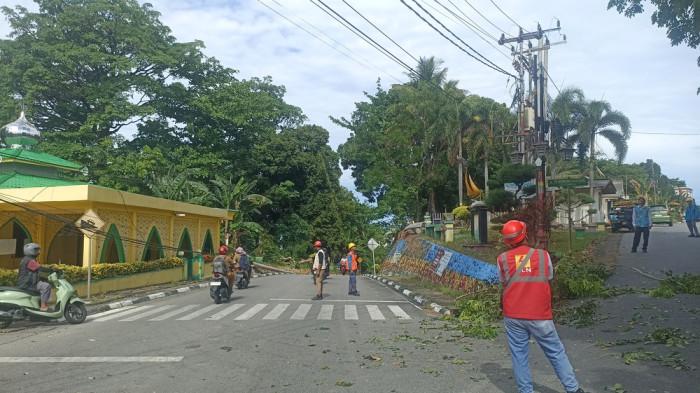 TIANG LISTRIK TUMBANG DI KARIMUN - Petugas PLN Tanjung Balai Karimun membersihkan di sekitar lokasi tiang listrik yang ambruk akibat pohon tumbang di jalan Teluk Air, Kecamatan Karimun, Kabupaten Karimun, Provinsi Kepulauan Riau (Kepri), Senin (6/4/2026).