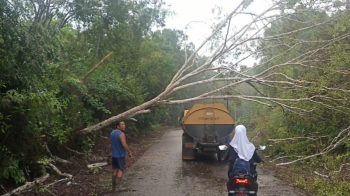 BMKG Dabo Beri Warning Cuaca Ekstrem, Kepala BPBD Lingga: Hindari Berteduh di Bawah Pohon Besar
