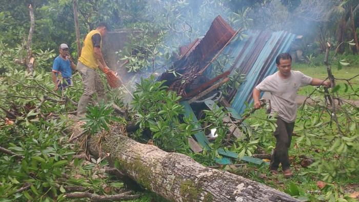 Pohon tumbang di Pekaka Lingga