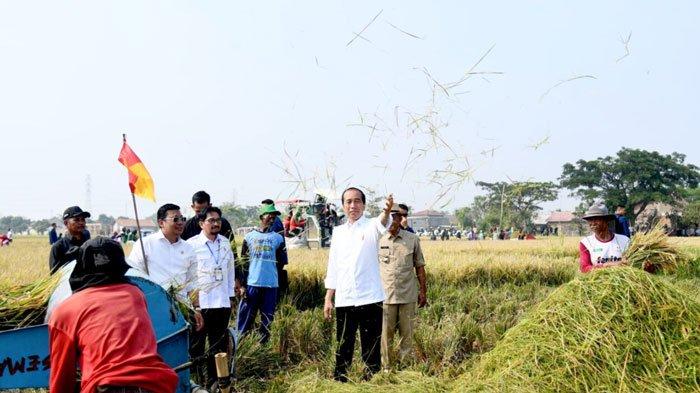 Jokowi Tanggapi Wacana Gibran Jadi Bacawapres Prabowo Subianto di Pilpres 2024