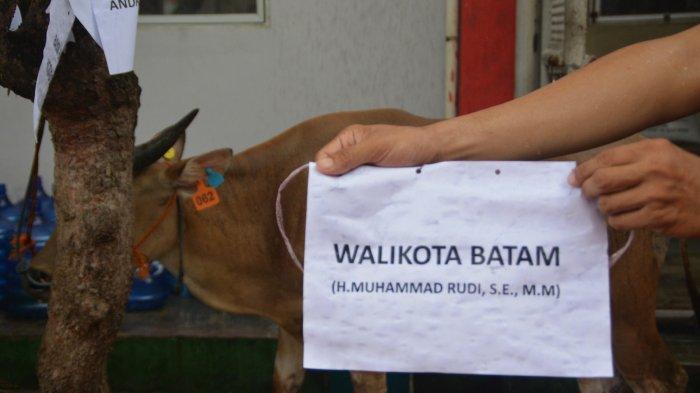 Rutan Batam Kirim Proposal Kurban Idul Adha 1444 H, Walikota Kirim Satu Sapi