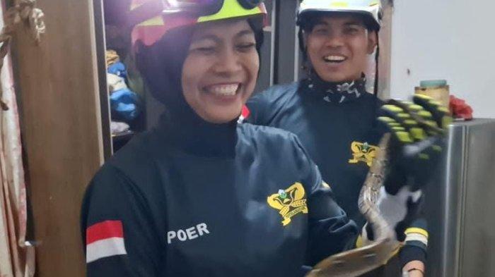 Senyum Petugas Damkar Bintan saat Evakuasi Ular Sawah Sembunyi Dekat Ventilasi Rumah Warga