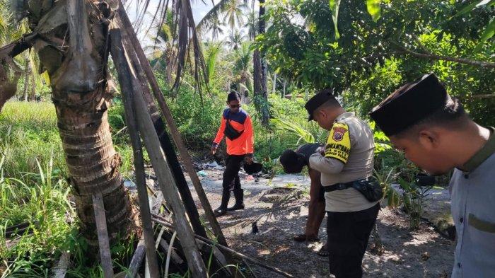 Ulat Bulu di Lingga Kepri Serang Warga Desa Kote, BPBD dan Dinas Pertanian Bertindak
