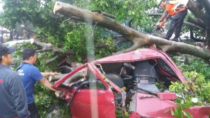Angin Puting Beliung Landa Bogor, Satu Orang Tewas Saat Mobilnya Ditimpa Pohon