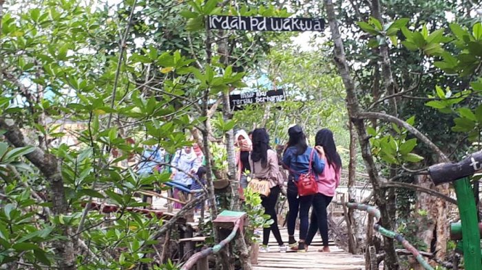 Rindu Suasana Alam? Santai Sejenak Yuk di Hutan Mangrove