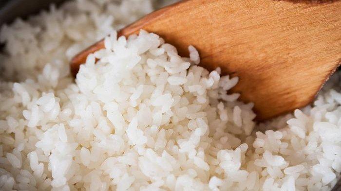 Kerap Dihindari Ketika Menjalani Diet, Makan Nasi Justru Bikin Kurus, Ini Penjelasannya!