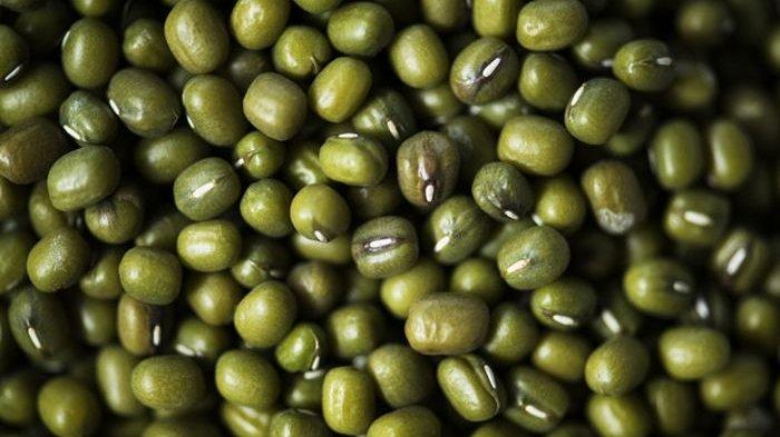 Kandungan Gizi dan Manfaat Kacang Hijau, Kurangi Risiko Kanker hingga Sehatkan Kehamilan