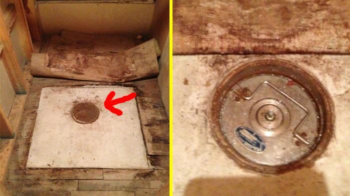 Diwariskan Rumah Neneknya, Redditor Temukan Karpet Menjijikan. Tapi Lihat Apa yang Ada di Baliknya