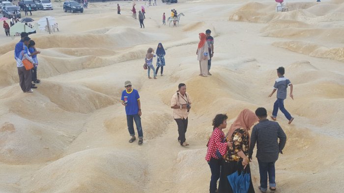 Meledak! Pengunjung Wisata Bukit Pasir Busung Tembus 3.000 Sehari, Pengelola Kewalahan!
