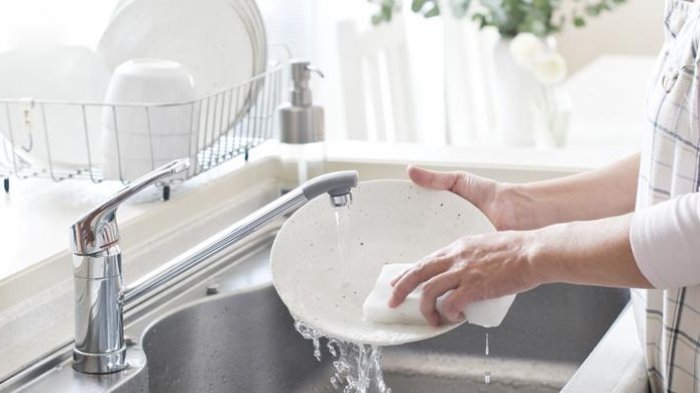 Tamu Resepsi Pernikahan Mewah Trauma Jadi Tukang Cuci Piring Dadakan