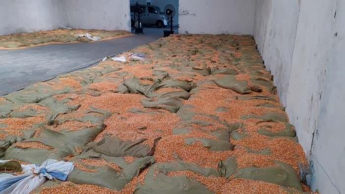 Demi Ungkap Sabu 20 Kg, Polisi Nyamar Jadi Kuli Panggul Selama 1 Bulan Tanpa Ada yang Curiga