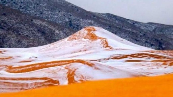 FENOMENA LANGKA! Gurun Sahara yang Biasa Panas. Kini Diselimuti Salju