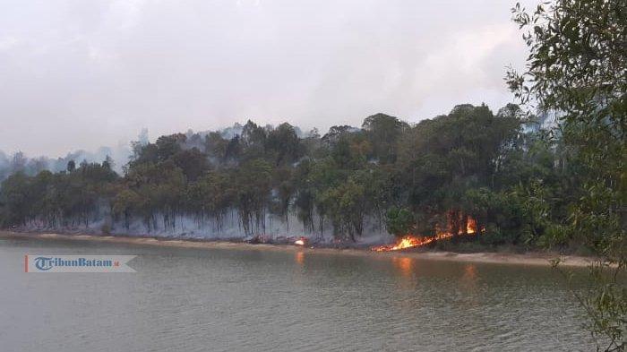 Hutan Dam Mukakuning Terbakar, Warga Sesalkan Damkar Lambat Datang ke Lokasi