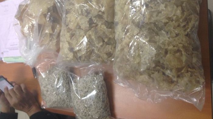 Bawa Ikan Teri, WNA Asal China Diamankan Petugas Bandara Soekarno-Hatta. Kok Bisa?