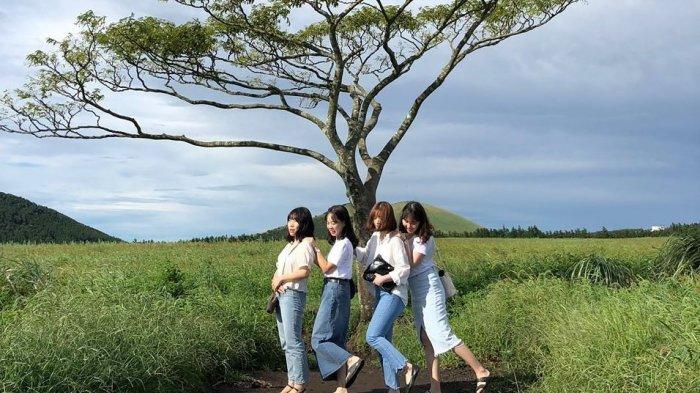 Panduan Wisata 1 Hari Keliling Pulau Jeju Korea Selatan