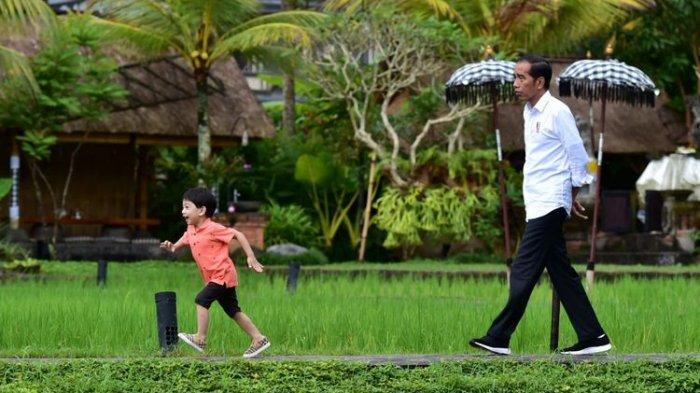 Polemik Impor Beras, Buwas Membongkar Mentan Sebut Baru Wacana, Siapa yang Mengusulkan?