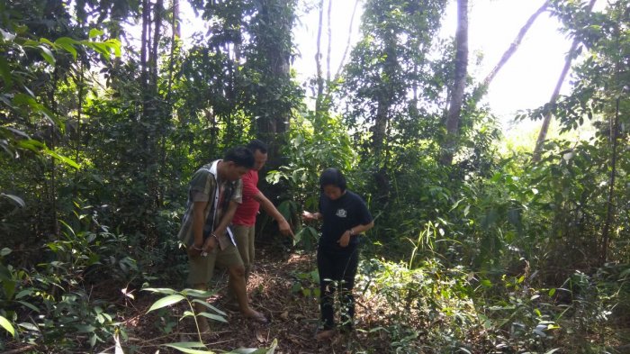 Ngeri! Penculikan Anak di Sei Beduk, Terungkap Pelaku Mencabuli Korban di 5 Lokasi Ini