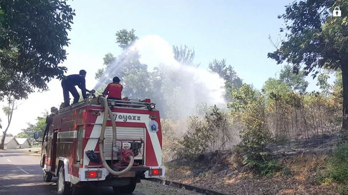 Kebakaran Hutan dan Lahan di Bintan Mencapai 10 Hektar, Diduga Ada Faktor Kesengajaan