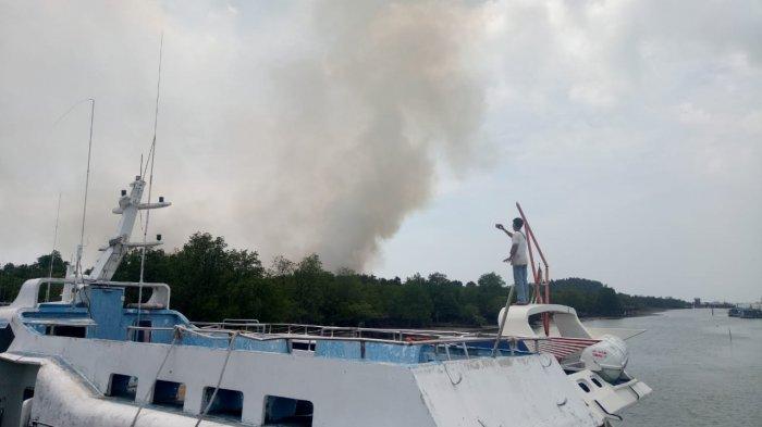 Hutan di Pulau Merak Karimun Terbakar, Ada Tempat Penyimpanan Bahan Bakar Bea Cukai di Lokasi