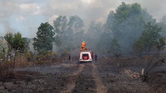 Nyaris Bakar Rumah Warga, Petugas 1 Jam Berjibaku Padamkan Kebakaran Lahan di Tanjungpinang