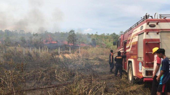 CURHAT Personel Damkar Atasi Kebakaran Lahan Pulau Bintan, 'Semoga Ada Solusi'